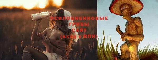 дмт Россошь