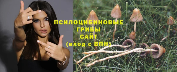 мескалин Абдулино